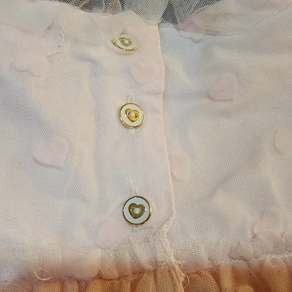 Isaac Mizrahi Valentine's dress - Picture 8 of 9